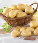 Pomme de terre de consommation nouvelle récolte - Super U à Saint-Chamond Pomme de terre de consommation nouvelle récolte en promo chez Super U Saint-Chamond à 2,99 €
