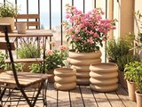 Blumentopf 3er Set im Angebot bei Sconto SB in Norderstedt Blumentopf 3er Set Angebote bei Sconto SB Norderstedt für 14,99 €