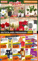 Norma Schokolade im Prospekt Norma Schokolade im Prospekt