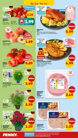 Schweineschnitzel im Penny Prospekt in Mönchengladbach Aktueller Penny Prospekt mit Schweineschnitzel, "Wer günstig will, muss Penny.", Seite 34