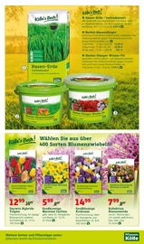 Ähnliches Angebot bei Pflanzen Kölle in Prospekt "Grosser Herbstmarkt!" gefunden auf Seite 13