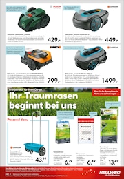 Rasen Angebot im aktuellen Hellweg Prospekt auf Seite 11