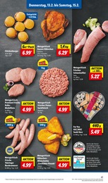 Grill Angebot im aktuellen Lidl Prospekt auf Seite 51