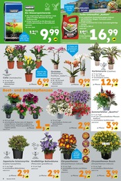 Ähnliche Sonnenblumenkerne Angebote im Prospekt "Immer eine Idee besser" von Globus-Baumarkt in Saarlouis Ähnliche Angebote wie Sonnenblumenkerne im Prospekt "Immer eine Idee besser" auf Seite 6 von Globus-Baumarkt in Saarlouis