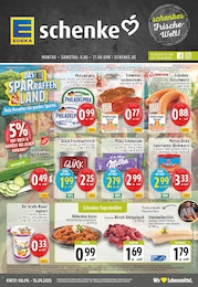 EDEKA Prospekt für Beelen mit 24 Seiten EDEKA Prospekt für Beelen: "Aktuelle Angebote", 24 Seiten, 08.09.2025 - 13.09.2025