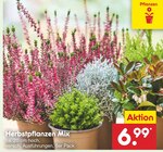 Herbstpflanzen Mix im Angebot bei Netto Marken-Discount in Halle Herbstpflanzen Mix Angebote bei Netto Marken-Discount Halle für 6,99 €