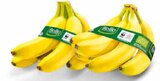 Aktuelle Bananen Angebote bei Netto Marken-Discount in Bottrop Aktuelles Bio Bananen Angebot bei Netto Marken-Discount in Bottrop ab 1,69 €
