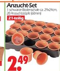 Anzucht-Set von  im aktuellen Wreesmann Prospekt für 2,49 €