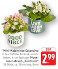 Angebot im EDEKA Püttlingen Prospekt EDEKA Püttlingen Prospekt mit im Angebot für 2,99 €