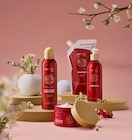 Celebration oder Harmony Angebote von Lacura Spa bei ALDI Nord Halberstadt für 1,99 €