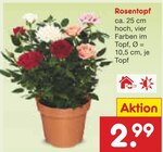 Rosentopf Angebote bei Netto Marken-Discount Celle für 2,99 €