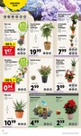 Plantes Plantes