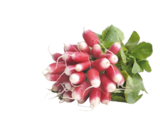 Aldi Coadout - Promo Radis roses botte Promo Radis roses botte à 0,69 € dans le catalogue Aldi à Coadout