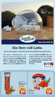 Tomaten im REWE Prospekt "Dein Markt" mit 32 Seiten (Heidelberg)