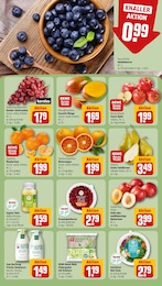 Tierbedarf Angebot im aktuellen REWE Prospekt auf Seite 10