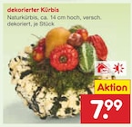 Aktuelle Kürbis Angebote bei Netto Marken-Discount in Aachen Aktuelles Dekorierter Kürbis Angebot bei Netto Marken-Discount in Aachen ab 7,99 €