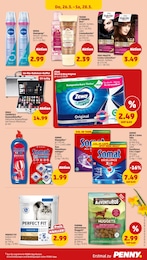 Hundefutter Angebot im aktuellen Penny Prospekt auf Seite 39