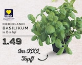 E center Dinslaken - Niederlande Basilikum im 15cm Topf Angebot im Prospekt Niederlande Basilikum im 15cm Topf bei E center im Dinslaken Prospekt für 1,49 €