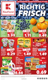 Aktueller Kaufland Supermarkt Prospekt für Kulmbach 23.10.2025 - 29.10.2025 Kaufland Prospekt für Kulmbach mit 61 Seiten