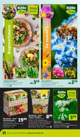 Aktueller Pflanzen Kölle Prospekt mit Dünger, "Ostern steht vor der Tür!", Seite 6