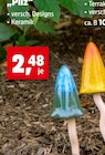 Aktuelles Pilz Angebot bei Thomas Philipps in Dresden ab 2,48 €