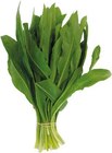 Ungarn Bärlauch bei EDEKA im Prospekt "" für 0,99 €