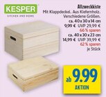 Allzweckkiste Angebote von KESPER bei diska Erlangen für 9,99 €