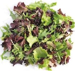 Wildkräutersalat bei EDEKA im Stadtlohn Prospekt für 1,49 €