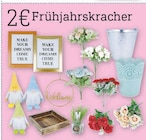 Frühjahrskracher Dekoration Angebote bei diska Weiden für 2,00 €