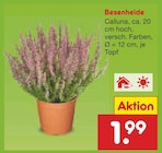 Angebot im Netto Marken-Discount Brühl Prospekt Netto Marken-Discount Brühl Prospekt mit im Angebot für 1,99 €