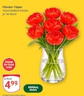 Aktuelles Päonien-Tulpen Angebot bei GLOBUS in Mannheim ab 4,99 €