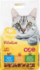 Croquettes pour chats adultes - CARREFOUR COMPANINO VITALIVE dans le catalogue Carrefour
