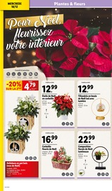 Fleurs Angebote im Prospekt "Des fêtes magiques !" von Lidl Fleurs Angebote im Prospekt "Des fêtes magiques !" von Lidl auf Seite 32