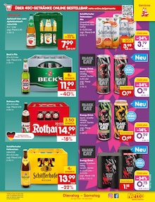 Bier im Netto Marken-Discount Prospekt "Aktuelle Angebote" mit 60 Seiten (Landau (Pfalz))