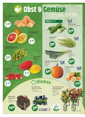 Kürbis im V-Markt Prospekt in Augsburg Aktueller V-Markt Prospekt mit Kürbis, "V-Markt einfach besser einkaufen", Seite 8