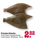 Frische Scholle im E center Prospekt Frische Scholle von im aktuellen E center Prospekt für 2,22 €