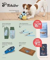 Kleidung im EDEKA Prospekt in Potsdam Aktueller EDEKA Prospekt mit Kleidung, "Aktuelle Angebote", Seite 17