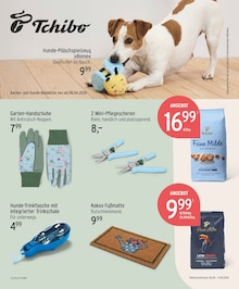 Teppichboden im aktuellen EDEKA Prospekt (Berlin) Teppichboden im EDEKA Prospekt "Aktuelle Angebote" mit 19 Seiten (Berlin)