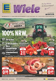 EDEKA Prospekt: "Aktuelle Angebote", 24 Seiten, 11.08.2025 - 16.08.2025