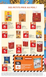 Prix et réduction Croquettes Chien dans le prospectus Netto en cours Offre Croquettes Chien dans le catalogue Netto du moment à la page 5