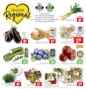 Blumen im Marktkauf Prospekt in Rodgau Aktueller Marktkauf Prospekt mit Blumen, "Aktuelle Angebote", Seite 4