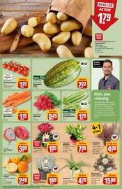 Ähnliche Gasgrill Angebote im Prospekt "Dein Markt" von REWE in Neuwied Ähnliche Angebote wie Gasgrill im Prospekt "Dein Markt" auf Seite 9 von REWE in Neuwied