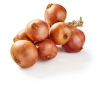 Zwiebelzopf von  im aktuellen Lidl Prospekt für 3,69 €