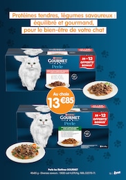 Offre Gourmet dans le catalogue B&M du moment à la page 15