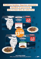 Promos Purina dans le catalogue "FRESH SUMMER" de B&M à la page 15 Promos Purina dans le catalogue "FRESH SUMMER" de B&M à la page 15