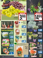 Dünger im EDEKA Prospekt in Gießen Aktueller EDEKA Prospekt mit Dünger, "Aktuelle Angebote", Seite 5