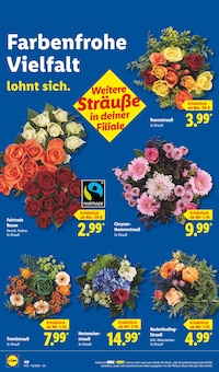 Hortensie im Lidl Prospekt "LIDL LOHNT SICH" mit 68 Seiten (Koblenz)