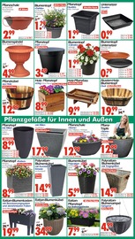 Aktueller Wreesmann Prospekt mit Topf, "DEIN SAISON- & SONDERPOSTENMARKT!", Seite 8