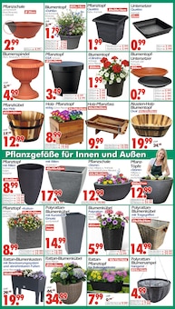 Blumenkasten im Wreesmann Prospekt "DEIN SAISON- & SONDERPOSTENMARKT!" mit 16 Seiten (Dresden)