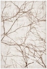 Aktuelles Webteppich „CREATION“ ca. 80x150cm Angebot bei mömax in Würzburg ab 24,99 €